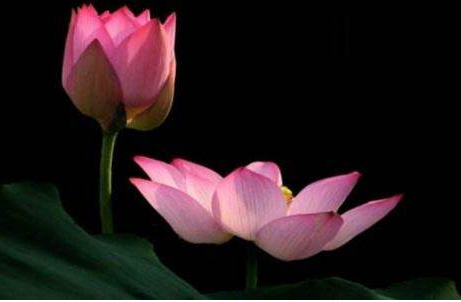 我堕胎后惨痛的报应,一定不要犯下这种错误