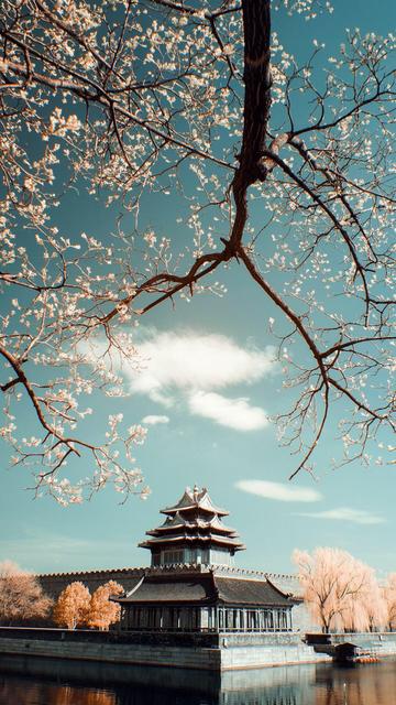 堕胎会有报应吗 , 堕胎真的会有报应吗