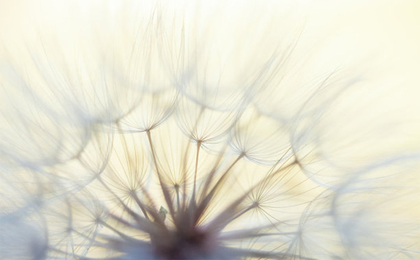 人在死后怎样投胎,需要有人做超度才能进行轮