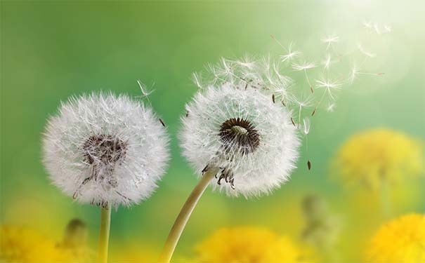 婴儿看到将死之人就哭,需要我们这么化解