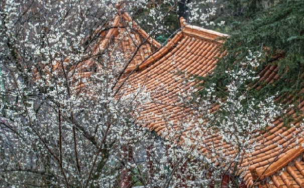 如何辟邪,常用的辟邪之法分享,帮你避免邪祟缠身