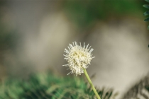 久病不愈怎样破解，风水命理的破解之法