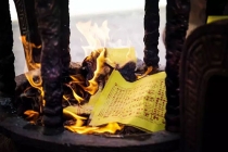 请了和合符特别想对方