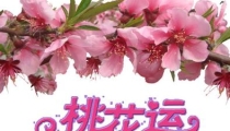 怎么快速招桃花运,如何快速催桃花运