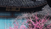 宝宝辟邪带什么,婴幼儿出门戴上这些就可以帮助宝宝辟邪保平安