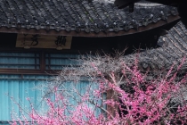 宝宝辟邪带什么,婴幼儿出门戴上这些就可以帮助宝宝辟邪保平安