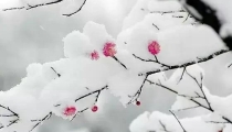道家不传秘法——催桃花,催婚姻,催子女