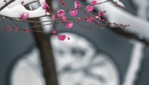 为什么噩梦连连,揭秘做噩梦的原因,还有解决噩梦之法