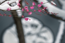 为什么噩梦连连,揭秘做噩梦的原因,还有解决噩梦之法