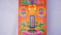 念超度堕胎咒语能让婴灵尽快离开,你好,请问咒