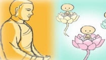 死胎的孩子和父母的缘不够深