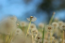 如何为堕胎婴灵做功德超度很关键