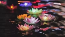 堕胎婴灵不能投胎吗,婴灵不能投胎吗,到底怎么