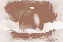 有哪些大富的八字解说