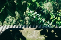 因果报应是什么意思，详解因果报应分享