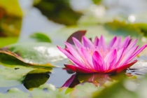 做烟供的最佳时间，做烟供我们需要注意这些问题