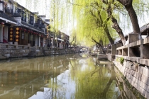 杀生因果报应真实故事，这是极其可怕的事情