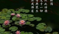 念往生咒的好处 , 普陀山超度婴灵价格