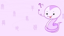 蛇冲太岁怎么化解