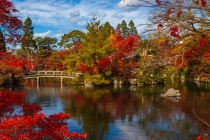 卧室窗帘颜色风水大有讲究,快来了解一下