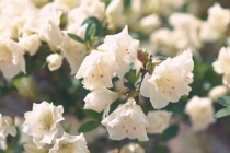 办公室摆放鱼缸风水位置图,鱼缸摆放也有风水要求