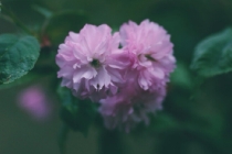 小儿睡觉惊吓会出现这些症状,可以使用叫魂之法收惊