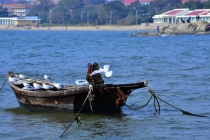 同时请符可以化解命理中各种不顺利