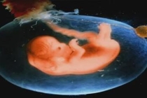 堕胎灵婴是什么？堕胎之后真的有灵婴吗？