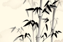 超厉害的驱邪镇宅植物 种一颗 邪气看到都绕道走