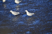 十大因果报应，这几种话你不要说