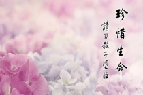 堕胎供婴灵牌需要几年 , 念佛号能超度婴灵吗