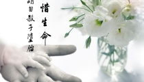 超度婴灵怎么写牌位 , 婴灵会回来找吗