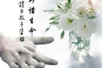 超度婴灵怎么写牌位 , 婴灵会回来找吗