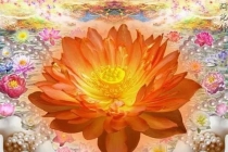 念什么经给堕胎婴灵，超度婴灵经文总结分享