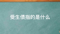 受生债指的是什么