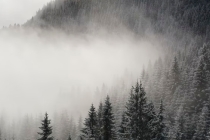 事业受阻辟邪法器 这几种吉祥物作用大