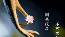 流产的孩子和父母的缘,应该要做超度