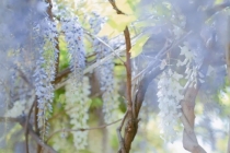 家居室内风水布局,关于家中室内装修的布局讲究禁忌