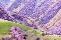 人到中年之后事业不顺,可以通过布局来转运