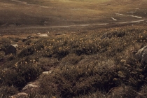 宝宝辟邪之法,让孩子不容易受到惊吓,能够健康的成长