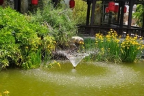 渡亡堕胎婴灵经文分享,教你如何渡亡婴灵