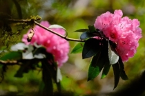 房子这个位置缺角会使事业受阻,视而不见会祸及子孙