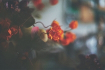 婚外情男人的因果报应，这是躲不过的情债