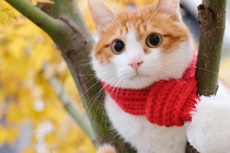 三生道长：以气养生，慢工细补