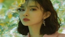 招桃花的盆栽主要有这几种 让它们助力你收获美好爱情