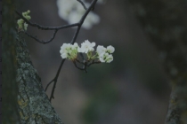 坏事缠身,女生佩戴什么辟邪保平安,原来竟是这物