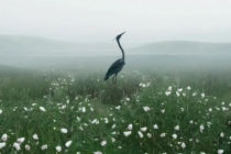 已经入住的房子怎么驱邪,摆放这些物品就能驱邪镇宅