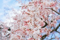 事业型男人很少联系你的原因，增加甜蜜的方法