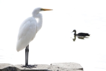 用什么辟邪效果好 辟邪厉害的东西分享