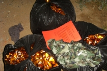 查还寿生债的方法 还阴债 补财库 增财运法事 （转载）